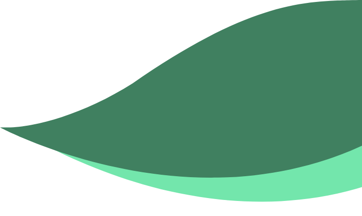 Traço verde - divisão 2